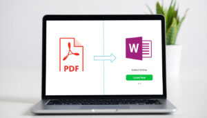 Convert PDF to Word: Free Online Converters Compared
